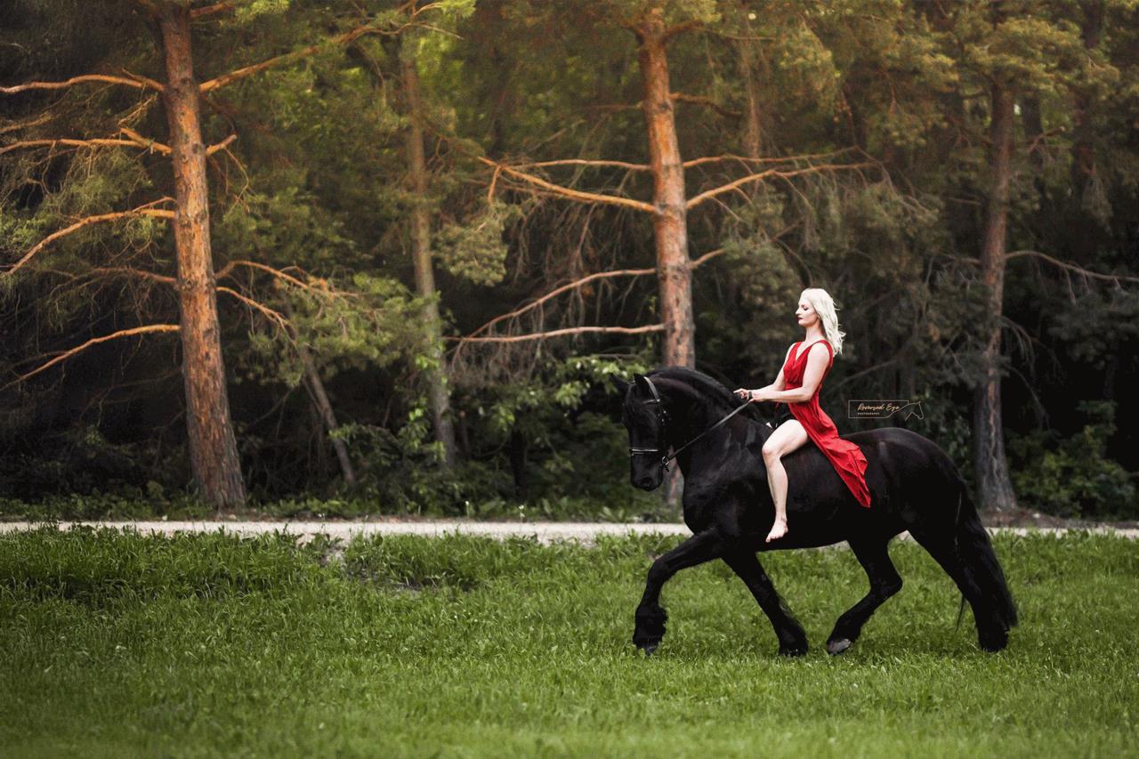 A young woman in a flowing red dress rides a graceful horse across a sunlit pasture at Excella Equine Park, showcasing the harmony between rider and horse.