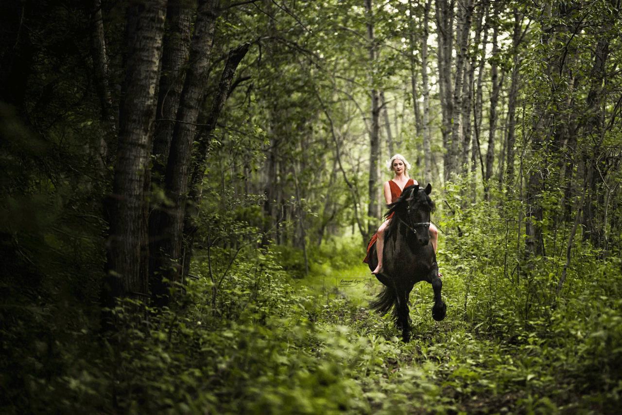 A young woman in a flowing red dress rides a graceful horse across a sunlit pasture at Excella Equine Park, showcasing the harmony between rider and horse.