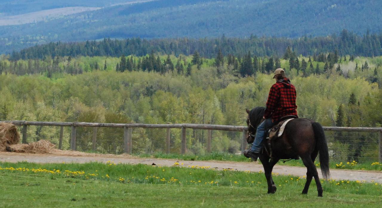 Man riding a horse through rolling hills on the outskirts of Excella Equine Park, showcasing scenic equestrian trails.