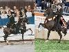 foals photo