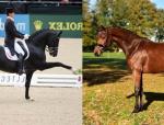 mares photo
